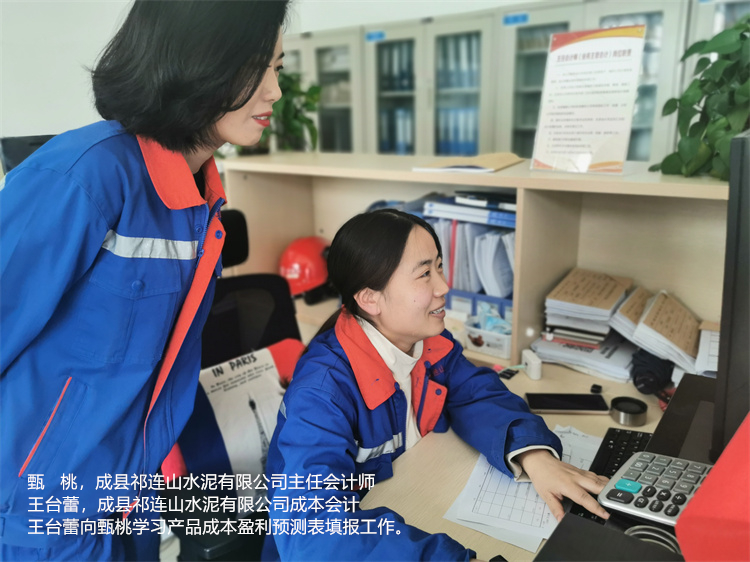 甄桃  王台蕾  成县祁连山云顶集团3118有限公司  成本会计王台蕾向主任会计师甄桃学习产品成本盈利预测表填报工作.jpg